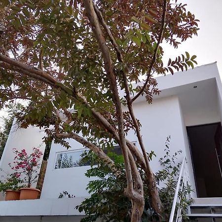 Casa Mango 3 Amplio Departamento Villa Río Verde Exterior foto
