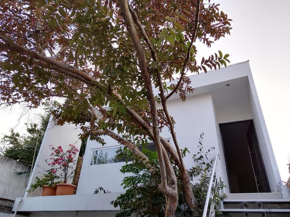 Casa Mango 3 Amplio Departamento Villa Río Verde Exterior foto